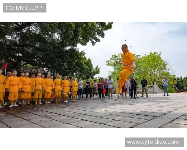 南京攀岩队区域防守战术深度分析与实战应用探讨 南京攀岩队区域防守战术深度分析与实战应用探讨